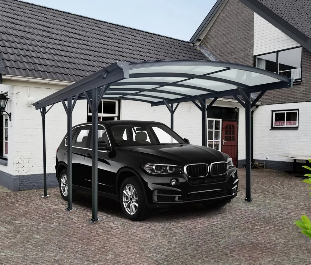 carpot1 carpot1