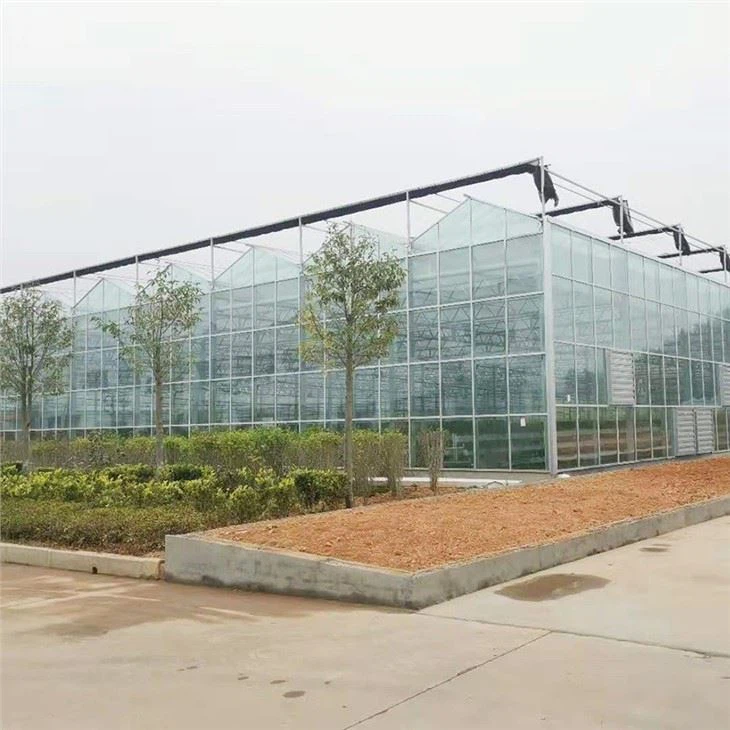 Agricultural Poly Tunnel Green House/Tomato Greenhouse For Sale Tunnel Greenhouse