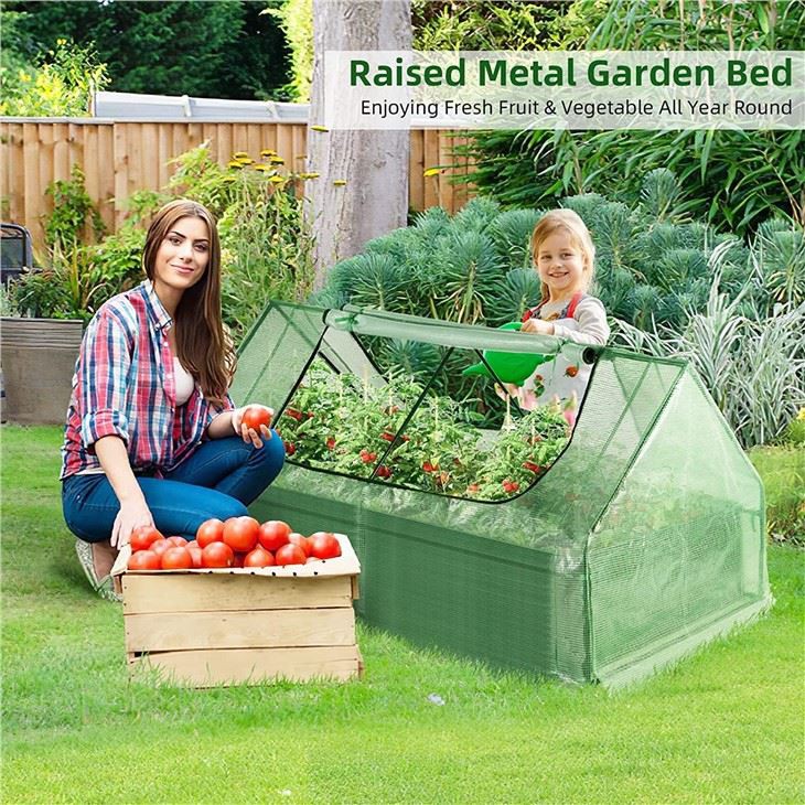 Raised Garden Bed With Mini Greenhouse Cover